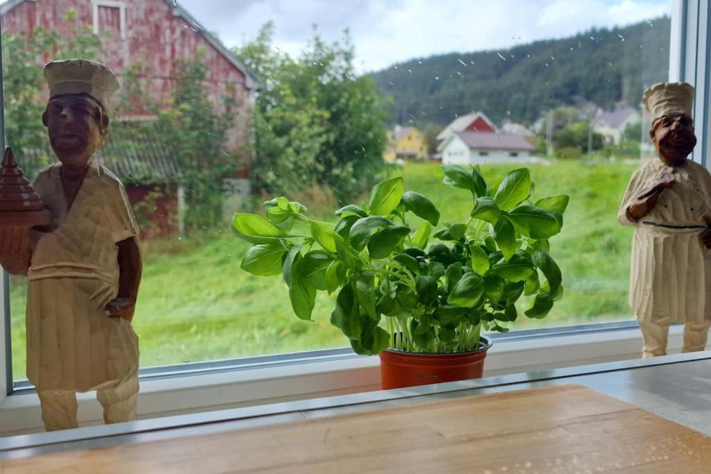 Haus Soltun-was Will Man Mehr! * Runde